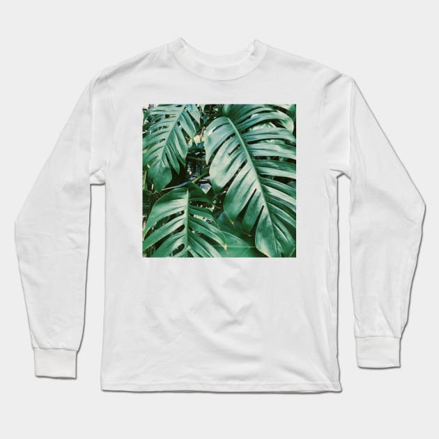 Green Palm Tree Long Sleeve T-Shirt by AlexandraStr